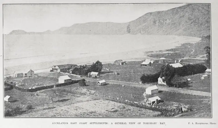 AUCKLAND'S EAST COAST SETTLEMENTS: A GENERAL VIEW OF TAKOMARU BAY