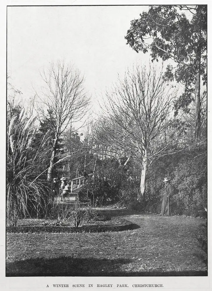 A WINTER SCENE IN HAGLEY PARK, CHRISTCHURCH