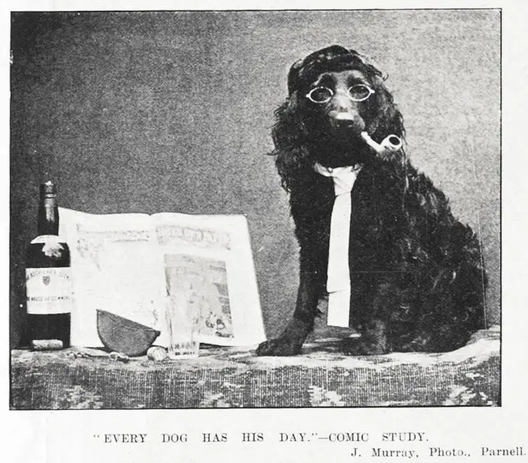 'EVERY DOG HAS HIS DAY.' - COMIC STUDY. J. Murray