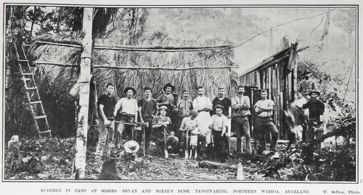 BUSHMEN IN CAMP AT MESSRS. BRYAN AND McRAE'S BUSH. TANGIWAHINE. NORTHEREN WAIROA. AUCKLAND