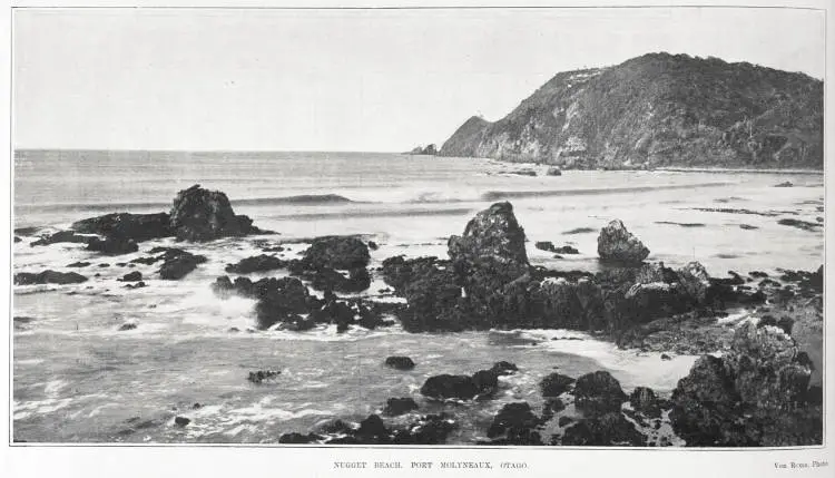 NUGGET BEACH. PORT MOLYNEAUX, OTAGO