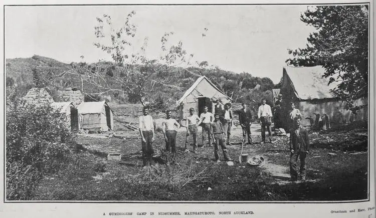 A GUMDIGGERS CAMP IN MIDSUMMER, MAUNGATUROTO, NORTH AUCKLAND