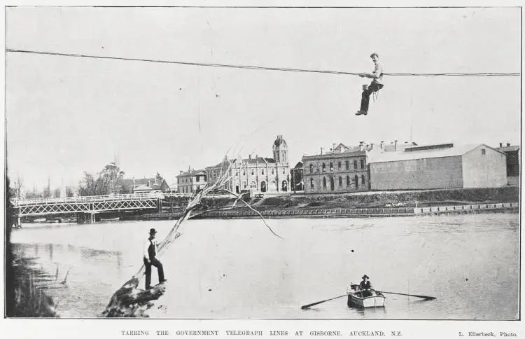 TARRING THE GOVERNMENT TELEGRAPH LINES AT GISBORNE, AUCKLAND, N.Z.