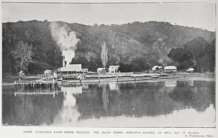 NORTH AUCKLAND'S KAURI TIMBER INDUSTRY: THE KAURI TIMBER COMPANY'S SAWMILL AT OPUA, BAY OF ISLANDS