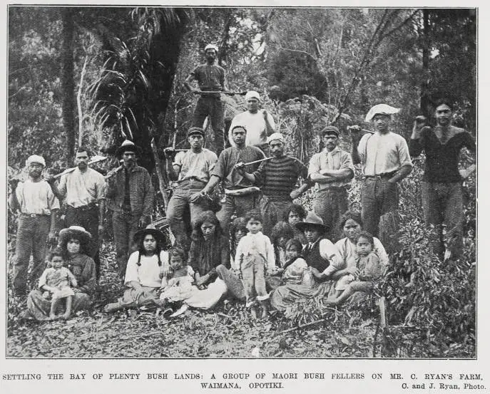 SETTLING THE BAY OF PLENTY BUSH LANDAS: A GROUP OF MAORI BUSH FELLERS ON MR. C. RYAN'S FARM, WAIMANA, OPOTIKI