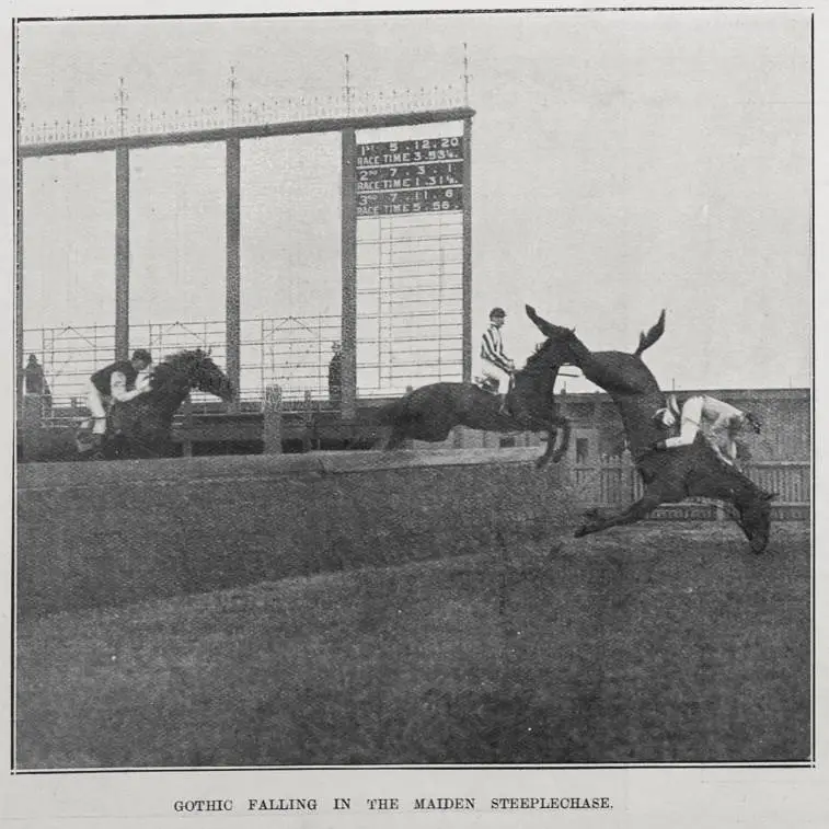 GOTHIC FALLING IN THE MAIDEN STEEPLECHASE