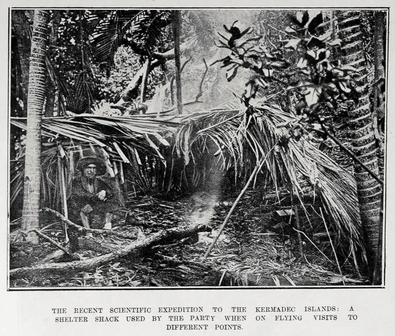 THE RECENT SCIENTIFIC EXPEDITION TO THE KERMADEC ISLANDS: SHELTER SHACK USED BY THE PARTY WHEN ON FLYING VISITS DEFFERENT POINTS