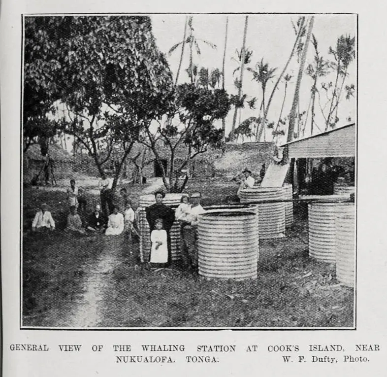 GENERAL VIEW OF THE WHALING STATION AT COOK'S ISLAND, NEAR NUKUALOFA, TONGA