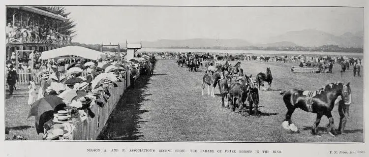 NELSON A. AND P. ASSOCIATION'S RECENT SHOW: THE PARADE OF PRIZE HORSES IN THE RING