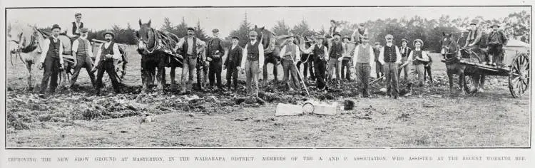 IMPROVING THE NEW SHOW GROUND AT MASTERTON, IN THE WAIRARAPA DISTRICT: MEMBERS OF THE A. AND P. ASSOCIATION. WHO ASSISTED AT THE RECENT WORKING BEE