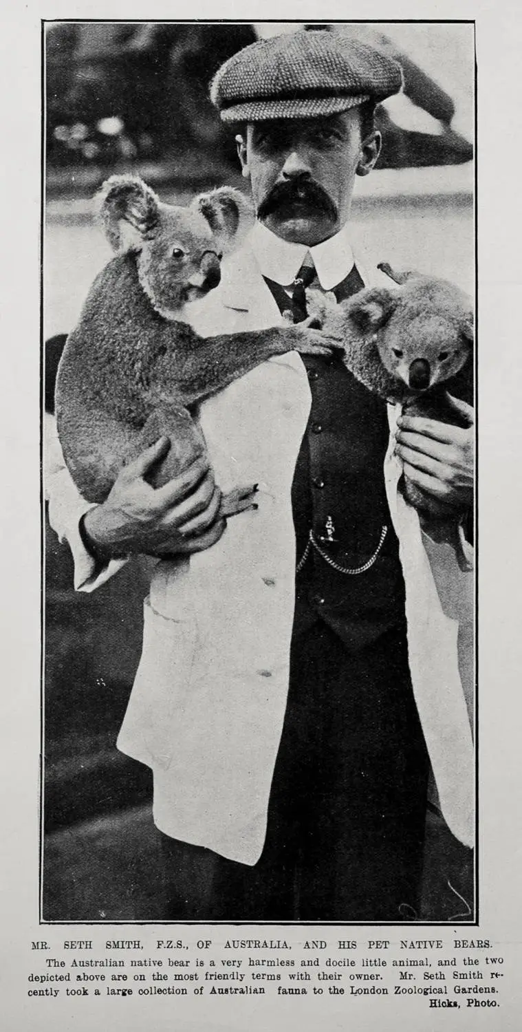 MR. SETH SMITH, F.Z.S., OF AUSTRALIA, AND HIS PET NATIVE BEARS