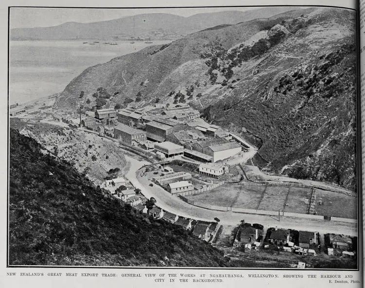 NEW ZEALAND'S GREAT MEAT EXPORT TRADE: GENERAL VIEW OF THE WORKS AT NGAHAURANGA, WELLINGTON, SHOWING THE HARBOUR AND CITY IN THE BACKGROUND