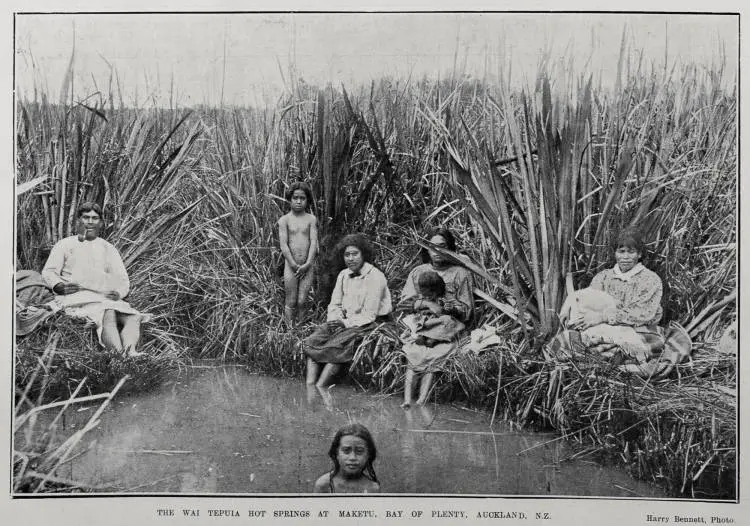 THE WAI TEPUIA HOT SPRINGS AT MAKETU, BAY OF PLENTY, AUCKLAND, N.Z.