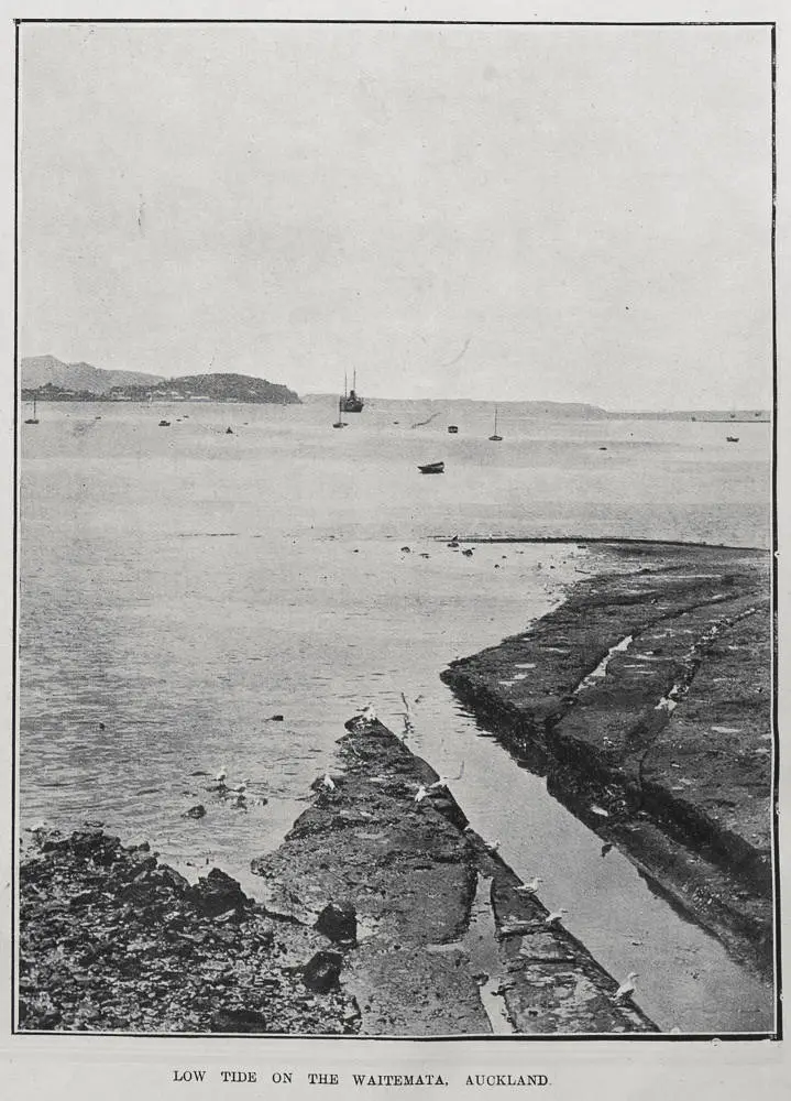 LOW TIDE ON THE WAITEMATA, AUCKLAND