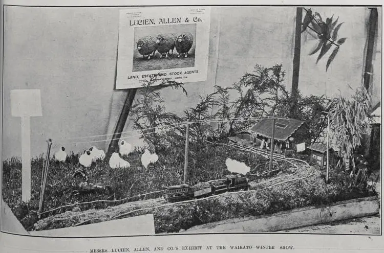 MESSRS. LUCIEN, ALLEN, AND CO.'S EXHIBIT AT THE WAIKATO WINTER SHOW