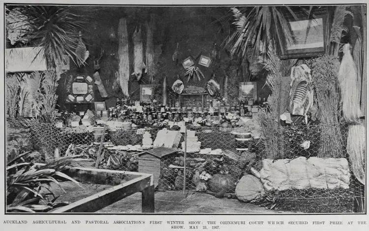 AUCKLAND AGRICULTURAL AND PASTORAL ASSOCIATION'S FIRST WINTER SHOW: THE OHINEMURI COURT WHICH SECURED FIRST PRIZE AT THE SHOW, MAY 23, 1907