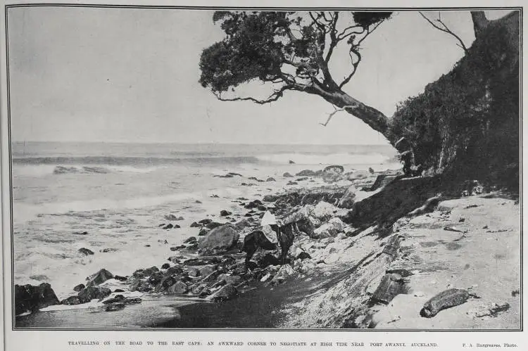 TRAVELLING ON THE ROAD TO THE EAST CAPE: AN AWKWARD CORNER TO NEGOTIATE AT HIGH TIDE NEAR PORT AWANUI, AUCKLAND