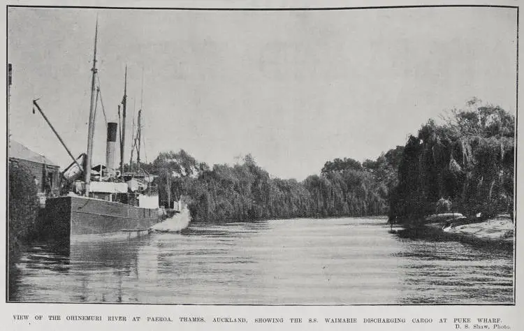 VIEW OF THE OHINEMURI RIVER AT PAEROA, THAMES, AUCKLAND, SHOWING THE S.S. WAIMARIE DISCHARGING CARGO AT PUKE WHARF