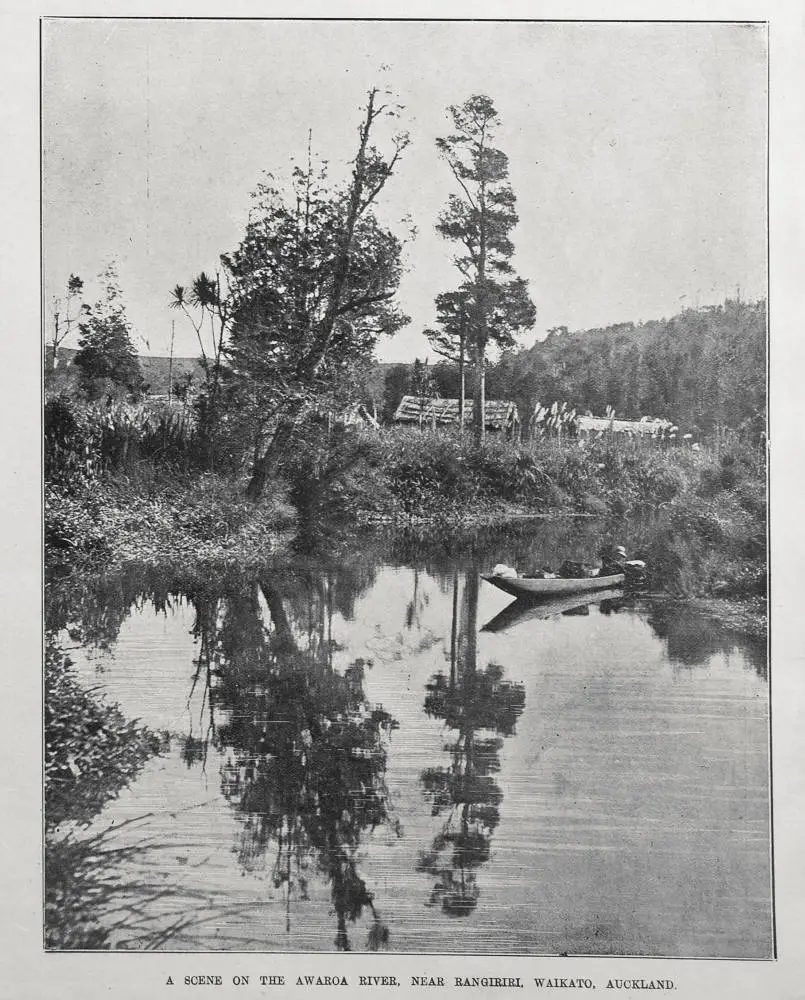 A SCENE ON THE AWAROA RIVER, NEAR RANGIRIRI, WAIKATO, AUCKLAND