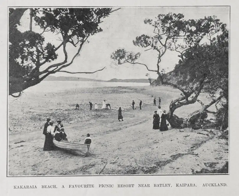 KAKARAIA BEACH, A FAVOURITE PICNIC RESORT NEAR BATLEY, KAIPARA, AUCKLAND