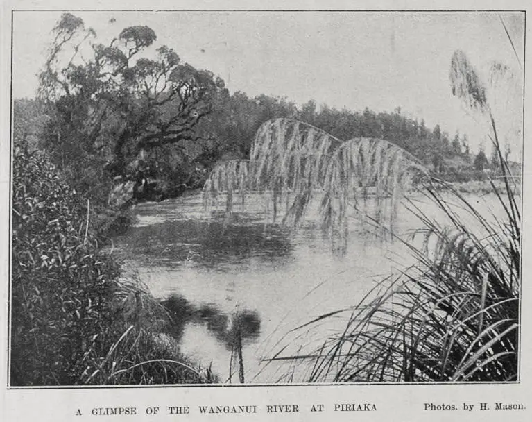 A GLIMPSE OF THE WANGANUI RIVER AT PIRIAKA