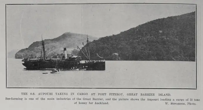 THE S.S. AUPOURI TAKING IN CARGO AT PORT FITZROY, GREAT BARRIER ISLAND