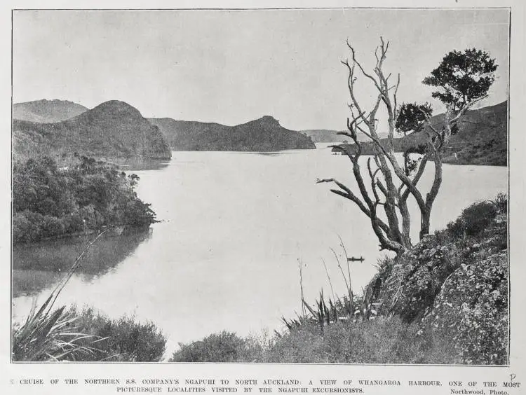 THE CRUISE OF THE NORTHERN S. S. COMPANY'S NGAPUHI TO NORTH AUCKLAND