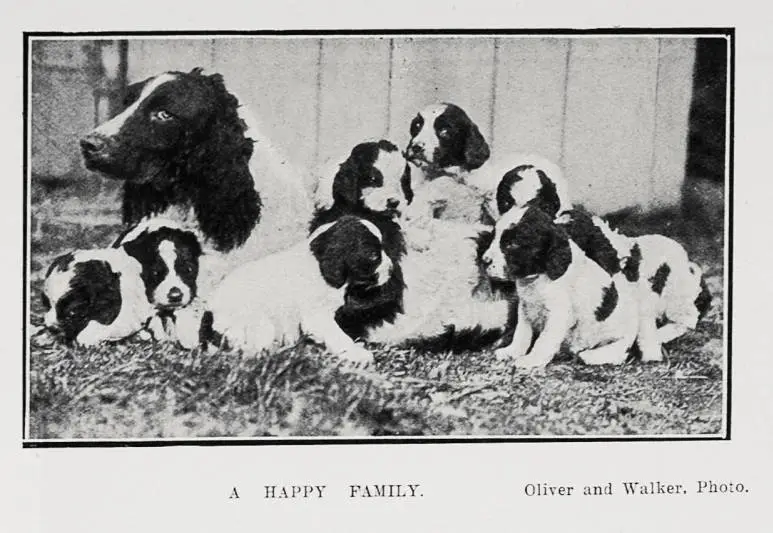 A Happy Family