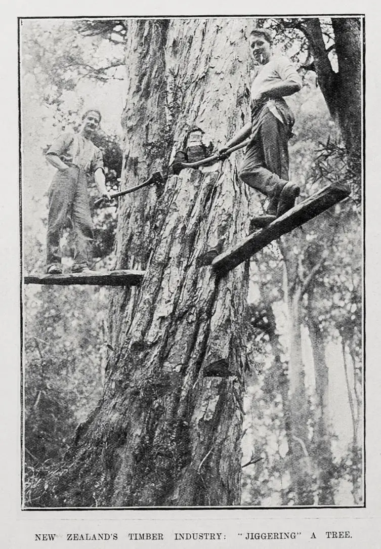 New Zealand's Timber Industry