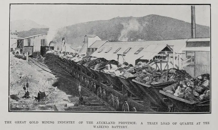 The Great Gold Mining Industry Of The Auckland Province