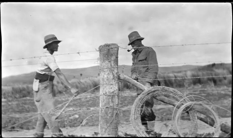 Rawhiti and Greytown Jack Barr fencing at 'Beresford' near Kakanui, southern Kaipara.