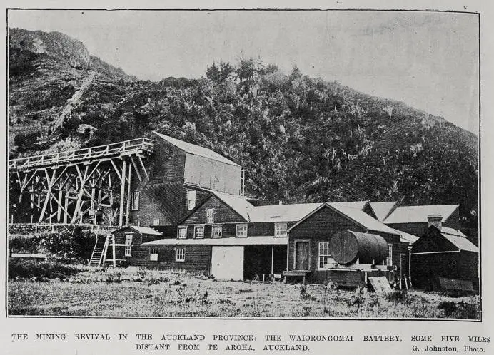 The Mining Revival In The Auckland Province