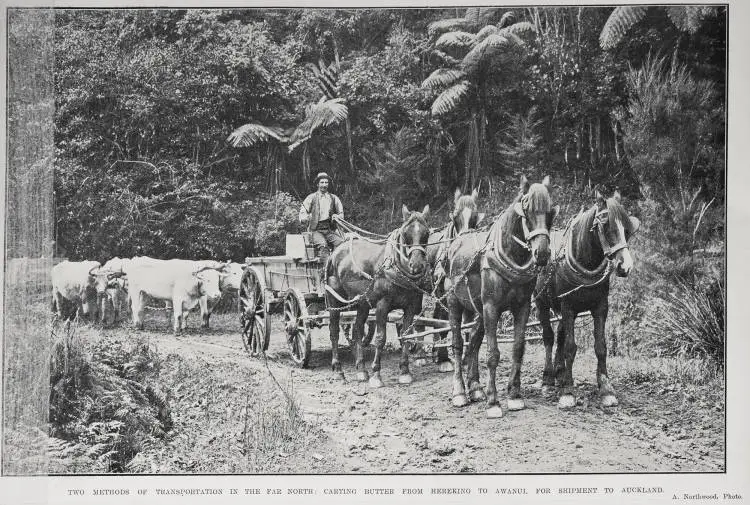 Two methods of transportation in the far north