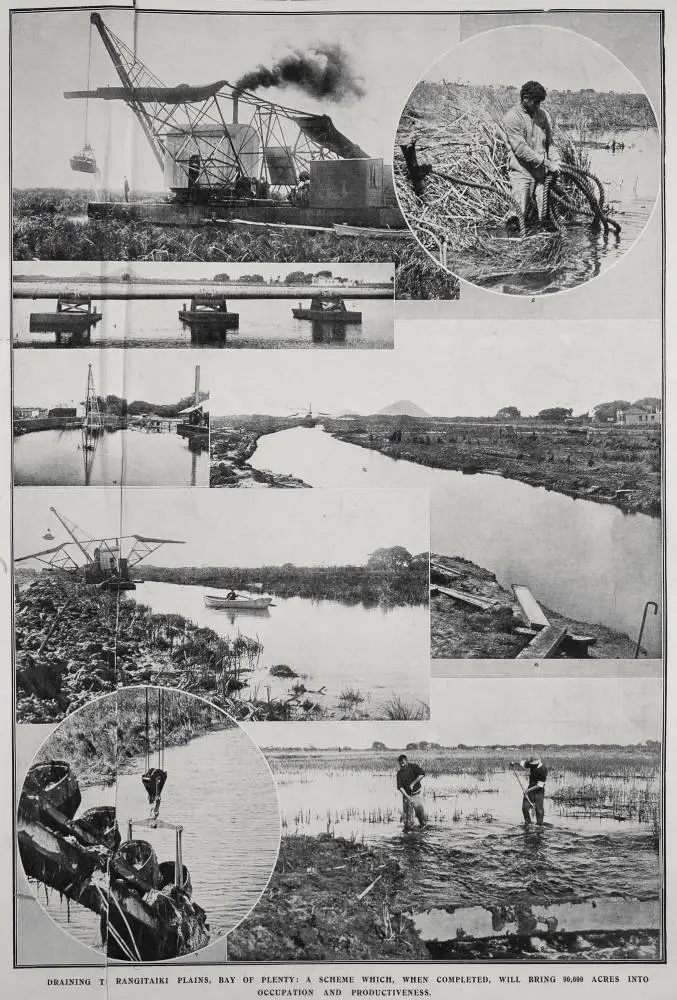 Draining The Rangitaiki Plains, Bay Of Plenty