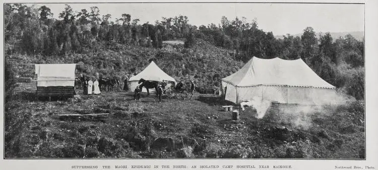 Suppressing The Māori Epidemic In The North