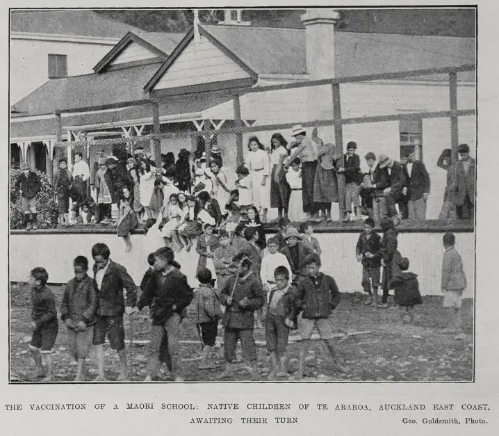 The Vaccination Of A Māori School