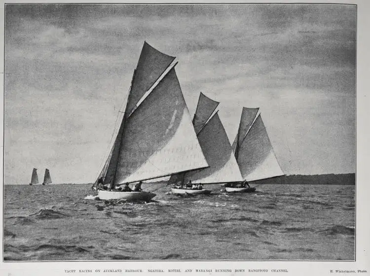Yacht racing on Auckland Harbour