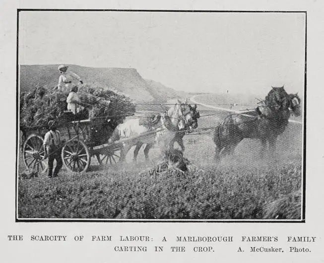 The scarcity of farm labour