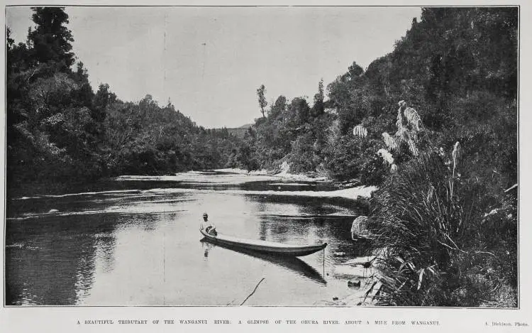 A beautiful tributary of the Wanganui River