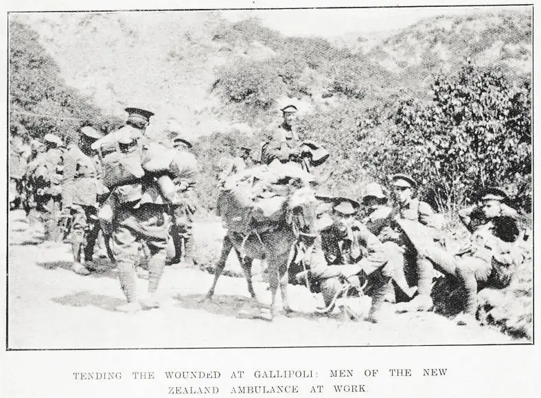 Tending the wounded at Gallipoli: men of the New Zealand Ambulance at work