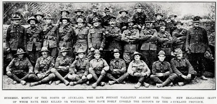 Bushmen, mostly of the north of Auckland, who have fought valiantly against the Turks