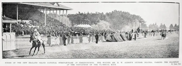 Finish of the New Zealand Grand National Steeplechase at Christchurch: the winner, Mr E. W. Alison (junior's) Ngatoa, passing the grandstand at the conclusion of the classical race