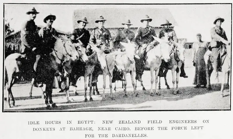 Idle hours in Egypt: New Zealand field engineers on donkeys at Barrage, near Cairo, before the force left for the Dardanelles