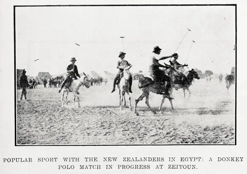 Popular sport with the New Zealanders in Egypt: a donkey polo match in progress at Zeitoun