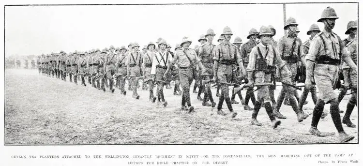 Ceylon tea planters attached to the Wellington Infantry Regiment in Egypt - or the Dardanelles. The men marching out of the camp at Zeitoun for rifle practice on the desert