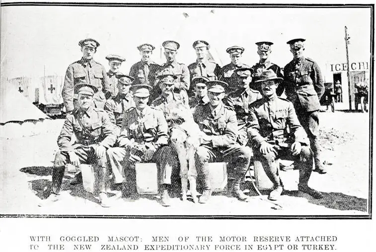 With goggled mascot: men of the motor reserve attached to the New Zealand Expeditionary Force in Egypt or Turkey