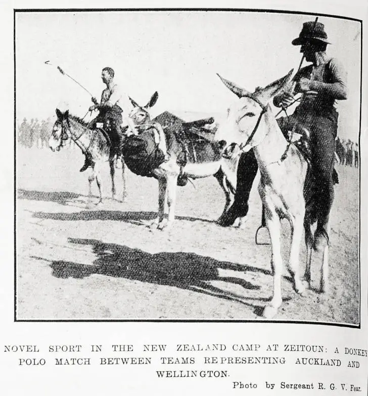 Novel sport in the New Zealand camp at Zeitoun: a donkey polo match between teams representing Auckland and Wellington