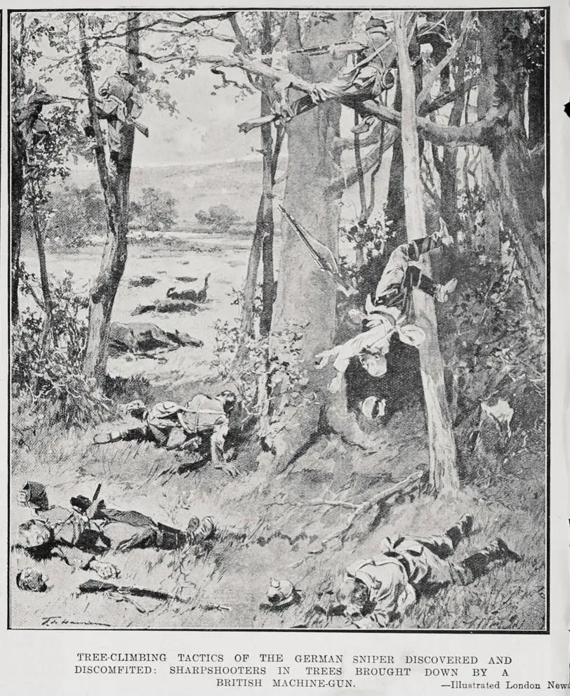 Tree-climbing tactics of the German sniper discovered and discomfited: sharpshooters in trees brought down by a British machine-gun