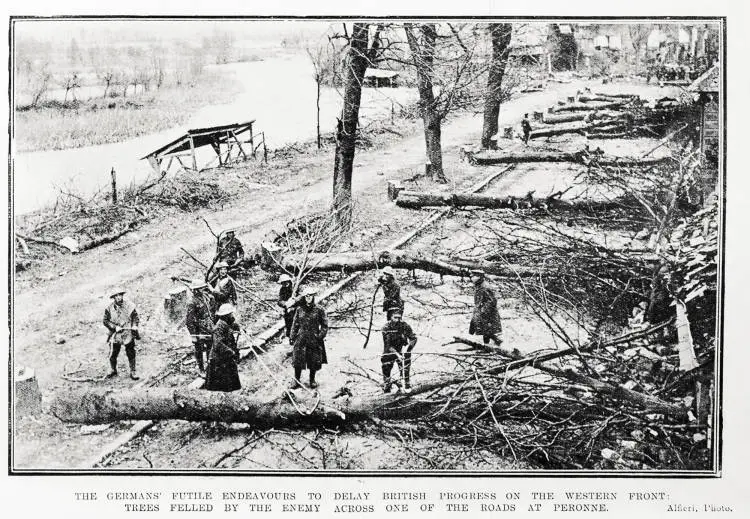 The Germans' futile endeavours to delay British progress on the Western Front: trees felled by the enemy across one of the roads at Peronne