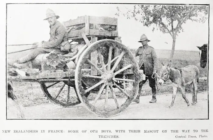 New Zealanders in France: some of our boys, with their mascot on the way to the trenches